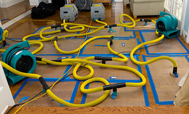 Professional Water Damage Repair technician working in Henderson, TX